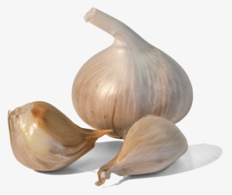 Garlic Png Image - Small Garlic Png, Transparent Png, Free Download