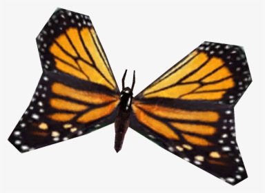 Monarch Butterfly , Png Download, Transparent Png, Free Download
