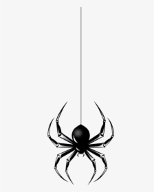 #mq #spider #hanging #black - Insect, HD Png Download, Free Download