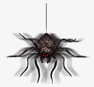 Hanging Shaking Spider - Spider, HD Png Download, Free Download