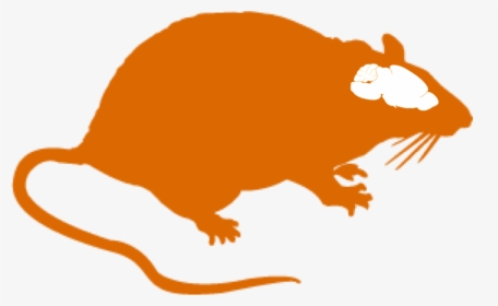 Rat Clipart Small Rat - Rat Sticker, HD Png Download, Free Download