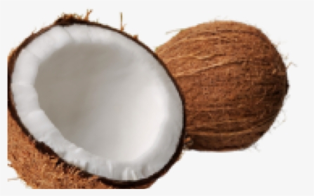 Coconut Png Transparent Images - Jk A Coconut, Png Download, Free Download
