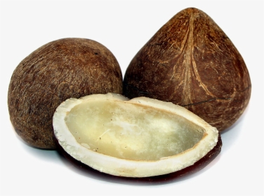 Half Coconut Png Photos - Coconut Dry Fruit, Transparent Png, Free Download