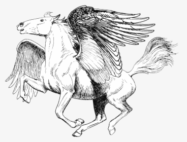 Pegasus - Mythical Creature Pegasus Coloring Pages, HD Png Download, Free Download