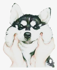 Transparent Husky Puppy Png - Cartoon Back Covers For Oppo Reno 2f, Png Download, Free Download