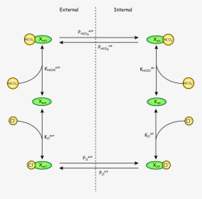 Diagram, HD Png Download, Free Download