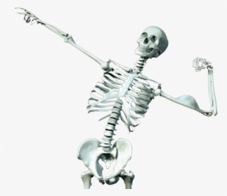 Skeleton, HD Png Download, Free Download