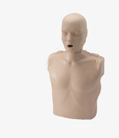 Cpr Dummy, HD Png Download, Free Download