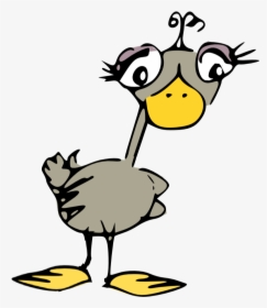 Silly Bird Clip Art, HD Png Download, Free Download