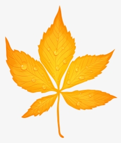 Yellow Autumn Leaf With Dew Drops Transparent Png Clip - Yellow Autumn Leaf Png, Png Download, Free Download
