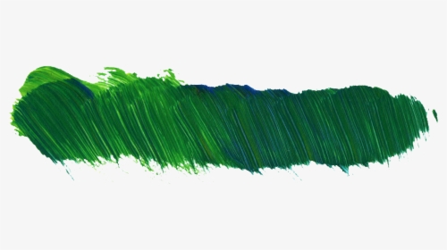 Transparent Green Onion Png - Grass Paint Png, Png Download, Free Download