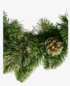 Natural Look Pine Wreath With Pine Cones & Lightly - Shortstraw Pine, HD Png Download, Free Download