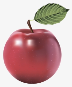 Red Apple Clipart Freeuse - Apple Image Without Background, HD Png Download, Free Download