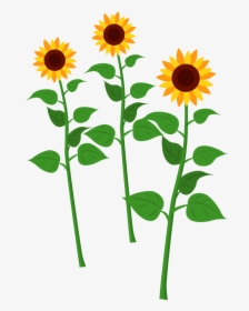 Sunflowers - Stem Of Sunflower Clip Art, HD Png Download, Free Download