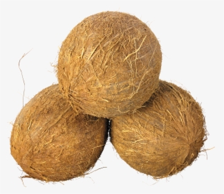 Coconuts Png, Transparent Png, Free Download