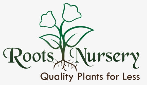 Transparent Plant With Roots Png - Logo For Plant Nursery, Png Download, Free Download