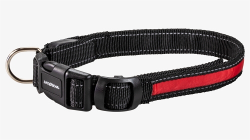 Night Walker Glow Led Usb Rechargeable Pet Collar Small - Strap, HD Png Download, Free Download