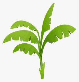 Green Plant Transparent Png - Transparent Plant Clip Art, Png Download, Free Download