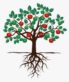 Transparent Apple Tree Clipart Black And White - Fruit Tree With Roots, HD Png Download, Free Download