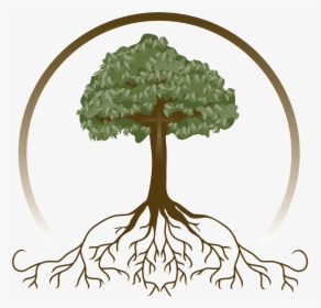 Free Tree With Roots Clipart, HD Png Download, Free Download