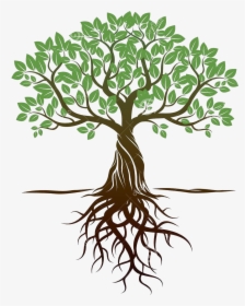 Transparent Roots Png - Clipart Tree With Roots, Png Download, Free Download