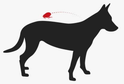 Transparent Dog Laying Down Png - Whippet Silhouette, Png Download, Free Download