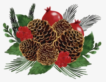 Christmas Pine Cone Wreath Wall Sticker - Watercolor Christmas Pine Cone, HD Png Download, Free Download