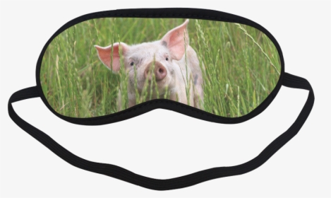 Piglet Pig Animal Farm Sleeping Mask - Eye Mask With Googly Eyes, HD Png Download, Free Download