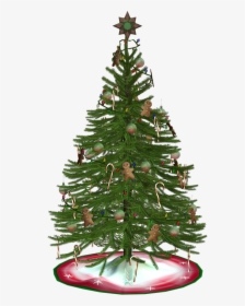 Transparent Pinecone And Branch Clipart - Christmas Tree, HD Png Download, Free Download