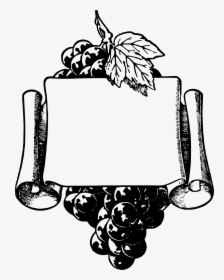 Common Grape Vine Wine Picture Frames Fruit - Frames Grapes Clipart Png, Transparent Png, Free Download