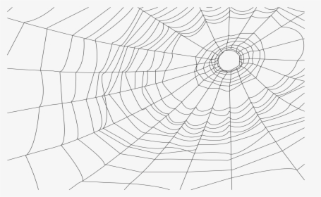 Cobweb Illustration , Png Download - Transparent Pictures Spider Webs, Png Download, Free Download