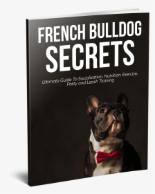 French Bulldog Secrets, HD Png Download, Free Download