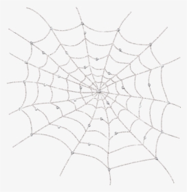 Transparent Spiderweb Png - Transparent Background White Spider Web Free, Png Download, Free Download