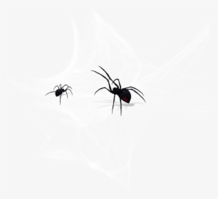 #cobweb #spider - Black Widow, HD Png Download, Free Download