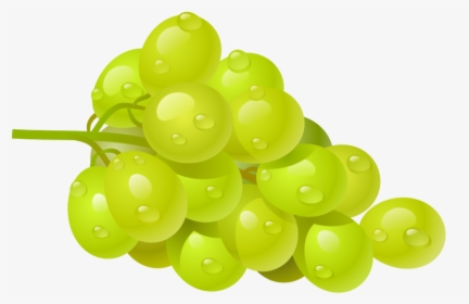 Grape Vine Border Png, Transparent Png, Free Download