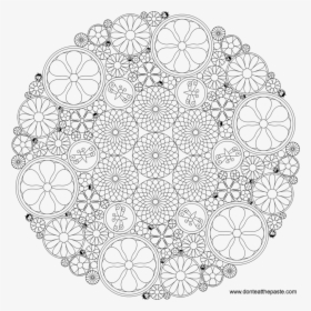 Adult Colouring - Cool Things To Colour, HD Png Download, Free Download