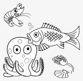 Color This Sea World - Sea World Drawing, HD Png Download, Free Download