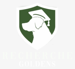Recherche Goldens - Dogo Argentino, HD Png Download, Free Download