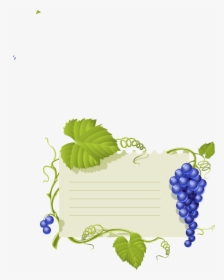 Transparent Grape Vine Clipart - Grapes Leaves Vector, HD Png Download, Free Download