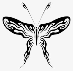 Butterfly Drawings Black And White 27, Buy Clip Art - Drawing Of Native American Butterfly, HD Png Download, Free Download
