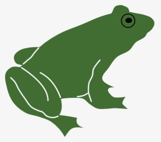 Animal Frog Green Free Picture - Frog Silhouette Vector, HD Png Download, Free Download