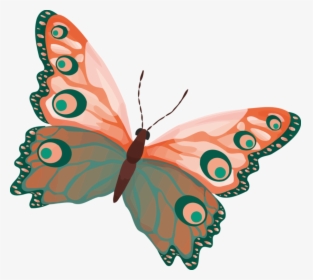 Butterfly,moth,fish - Colour Butterfly, HD Png Download, Free Download