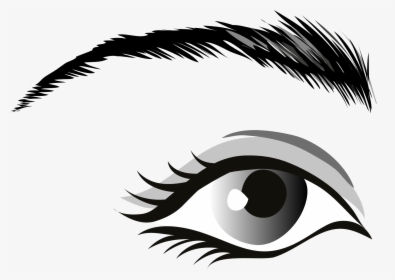 Eye,eyebrow,black And Up,clip Art,human - Eye Clip Art, HD Png Download, Free Download