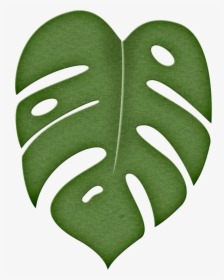 Leaves Clipart Green Tropical - Clipart Jungle Leaf, HD Png Download, Free Download