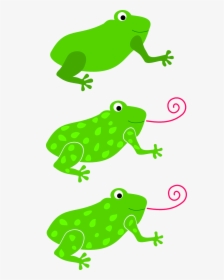 Frogs Green Three Free Picture - Frog Tongue Clip Art, HD Png Download, Free Download