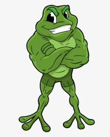 Transparent Toad Animal Png - Cartoon Frog, Png Download, Free Download