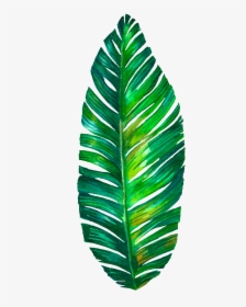 Monstera Png Download - Palm Leaf Sticker Watercolor, Transparent Png, Free Download