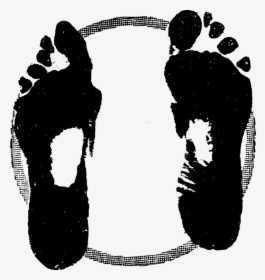 Photography - Leave Nothing But Footprints, HD Png Download, Free Download