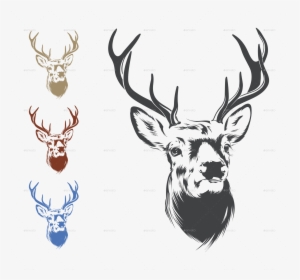 Deer Head Drawing Png, Transparent Png, Free Download