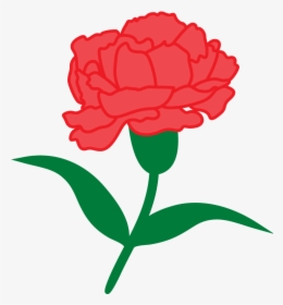 Sos Carnation 2017-01 - Phi Alpha Delta Red Carnation, HD Png Download, Free Download